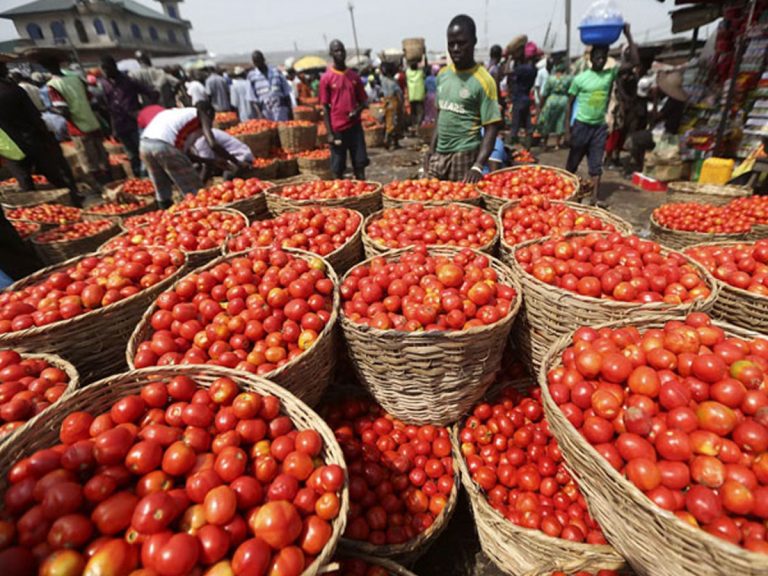 చెన్నైలో కిలో టమాటా@160..సామాన్యుడికి చుక్కలే..!
