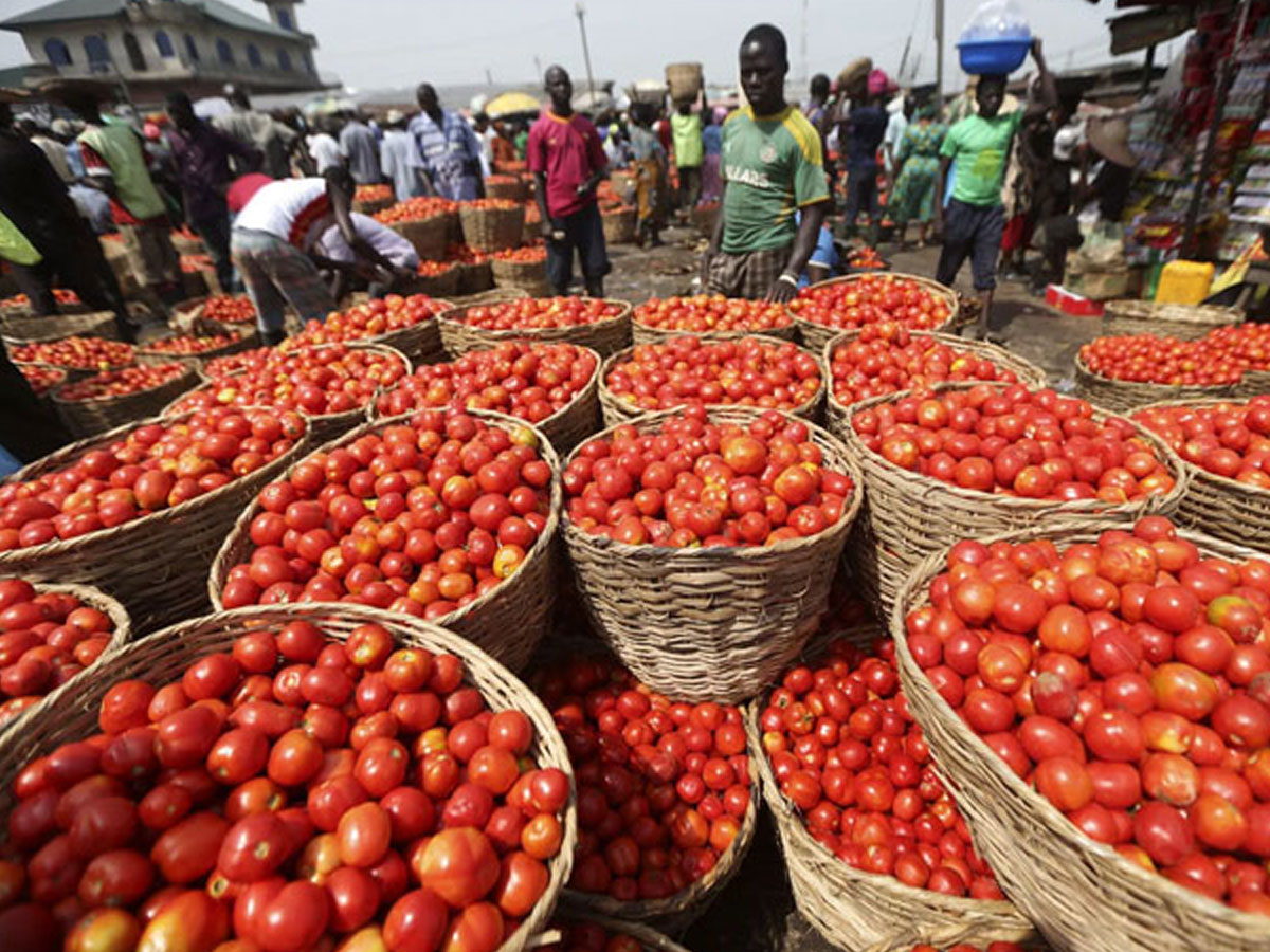 చెన్నైలో కిలో టమాటా@160..సామాన్యుడికి చుక్కలే..!