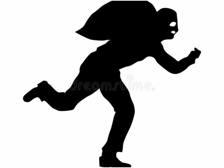 తిరుపతి కనకదుర్గమ్మ ఆలయంలో చోరీ