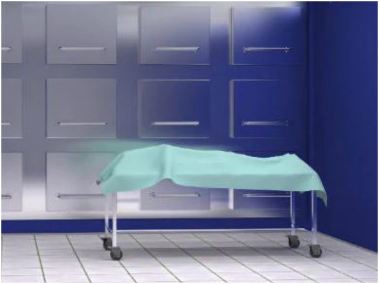 చనిపోయినట్టు ప్రకటించిన డాక్టర్లు.. తర్వాత రోజు ఏమైందంటే?