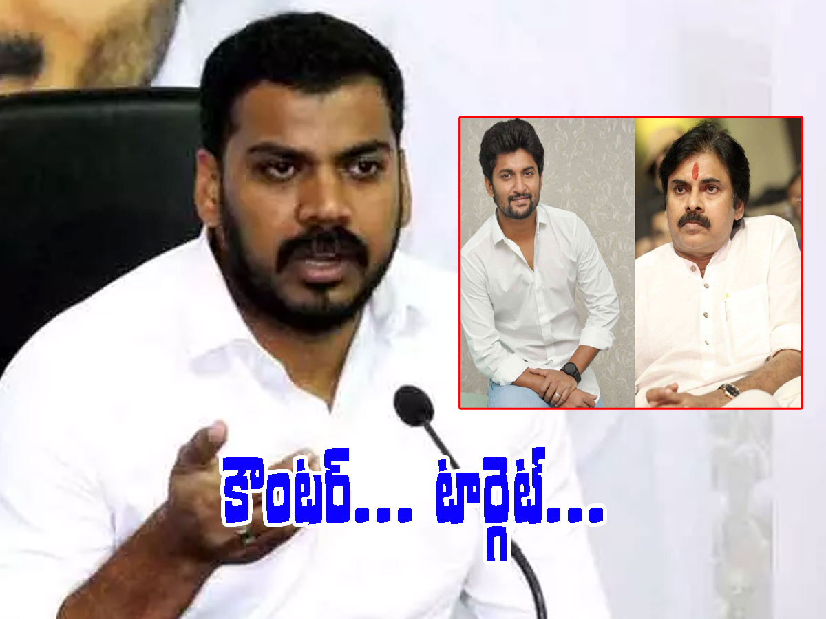 హీరో నానికి మంత్రి అనిల్‌ కౌంటర్‌.. పవన్‌ మోజులో పడి చాలా తగలేశా..!