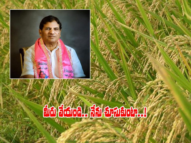 వరి వేయండి.. మంచి ధర నా బాధ్యత-టీఆర్ఎస్‌ ఎమ్మెల్యే