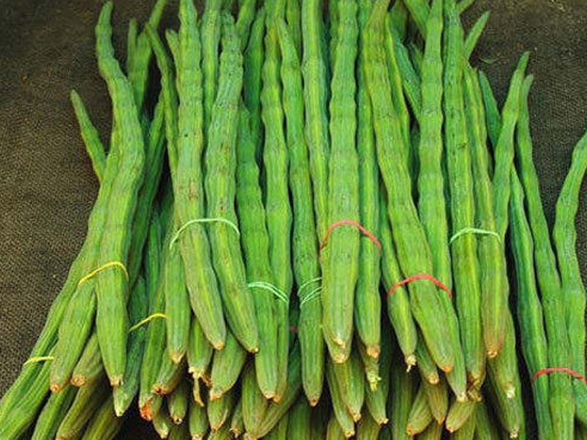 మోత మోగుతున్న డ్ర‌మ్‌స్టిక్స్‌…