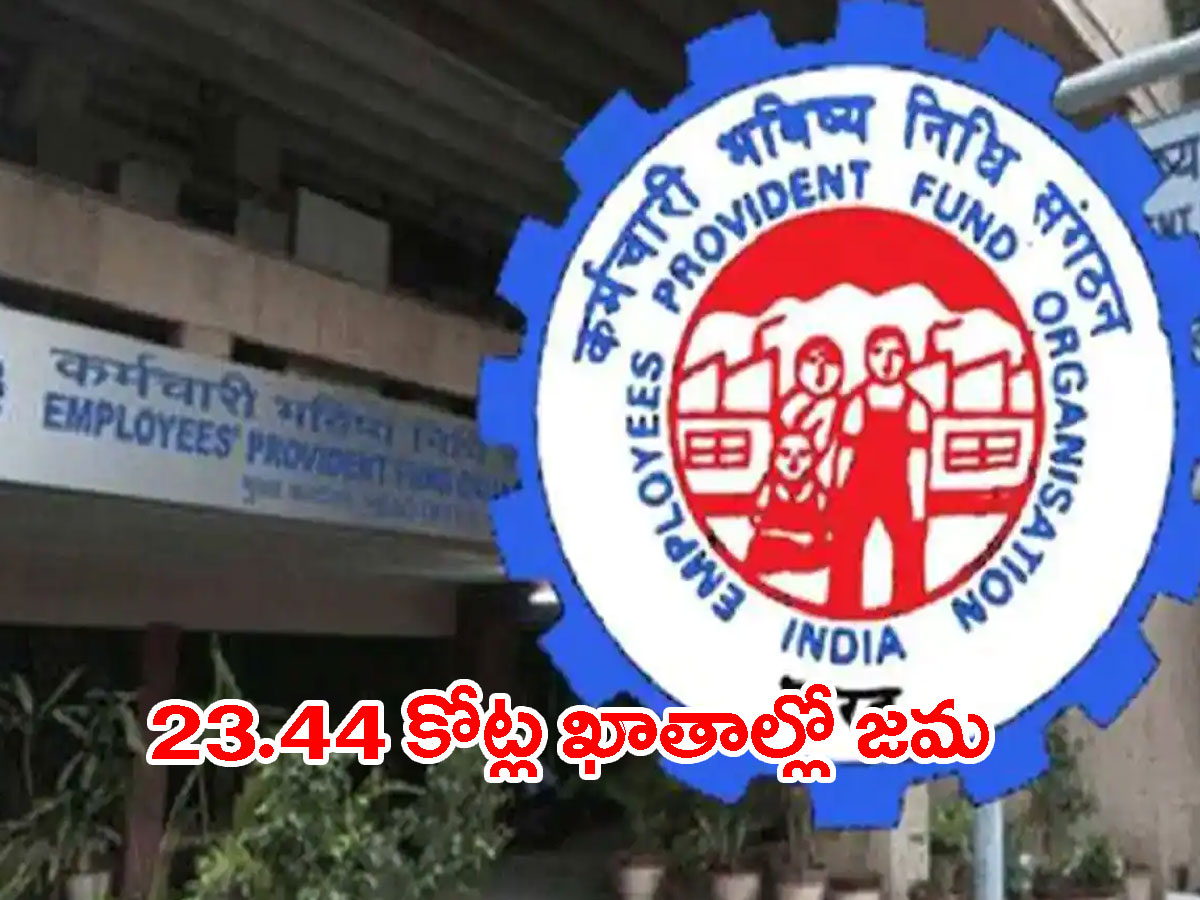 గుడ్‌న్యూస్‌ చెప్పిన ఈపీఎఫ్‌వో.. ఖాతాల్లో జమ..
