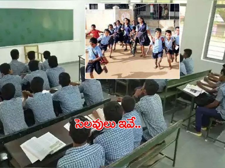 క్రిస్మస్, సంక్రాంతి హాలీడేస్ ఇవే..