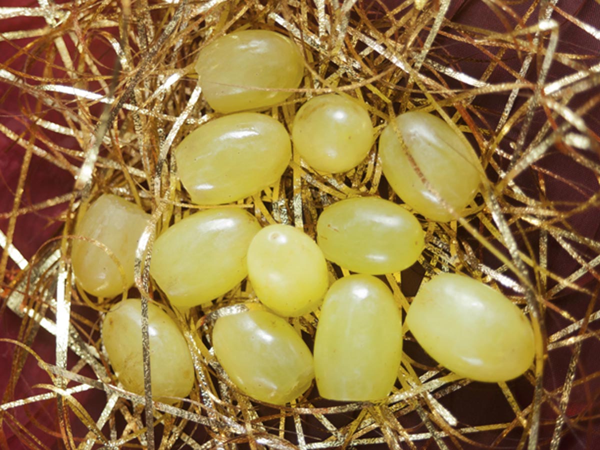 న‌మ్మ‌కాలు:  కొత్త సంవ‌త్స‌రం రోజున ఇలా చేస్తే…