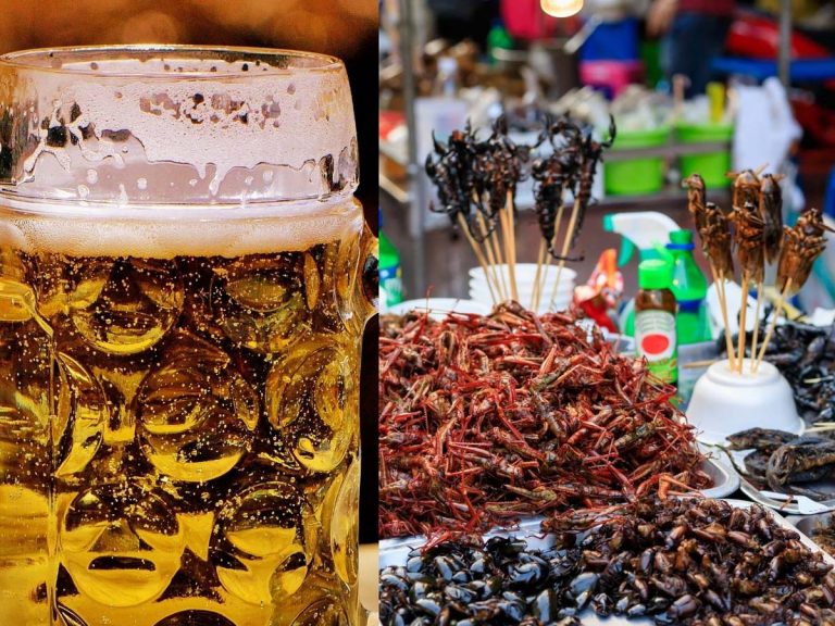 బొద్దింక‌ల‌తో బీర్‌… అక్క‌డ యమా డిమాండ్‌…