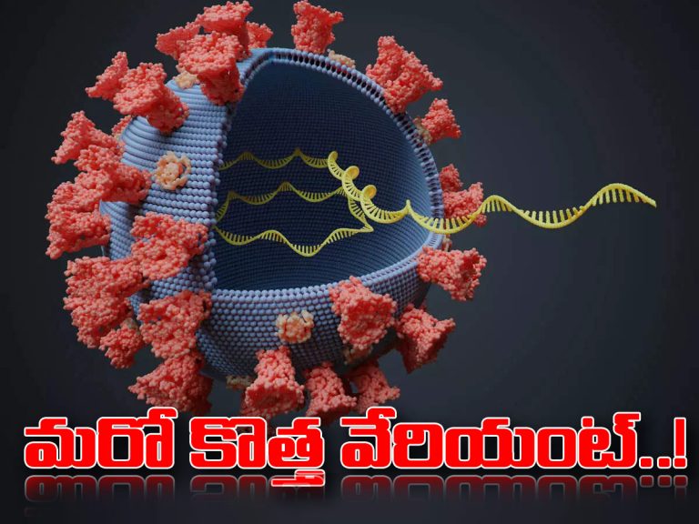 దక్షిణాఫ్రికా నుంచి వచ్చిన వ్యక్తిలో మరో కొత్త వేరియంట్.. టెన్షన్.. టెన్షన్..