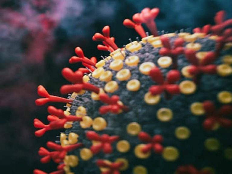 ప్రకాశం జిల్లాలో మరో ఒమిక్రాన్‌ కేసు.. అధికారులు అలర్ట్‌