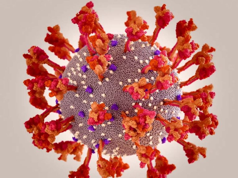 ఒమిక్రాన్ వేరియంట్ కొత్త ల‌క్ష‌ణాలు ఇవే…