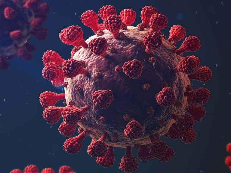 కరోనా వ్యాప్తికి ఇదే కారణమా…!