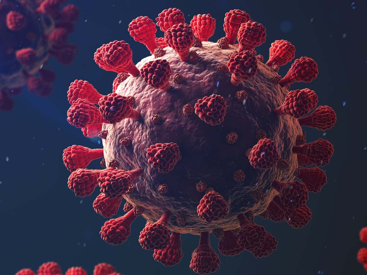 కరోనా వ్యాప్తికి ఇదే కారణమా…!