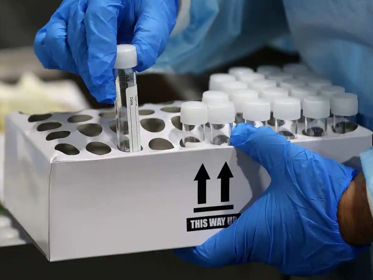 గుడ్‌న్యూస్‌:  క‌రోనా వేరియంట్ల క‌ట్ట‌డికి లామా ఔష‌ధం…