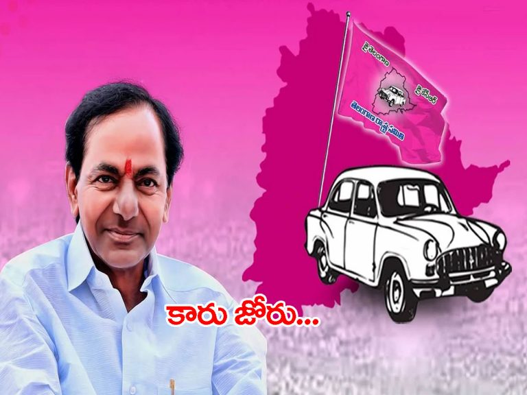 ఎమ్మెల్సీ ఎన్నికల ఫలితాలు: టీఆర్ఎస్‌ క్లీన్‌స్వీప్