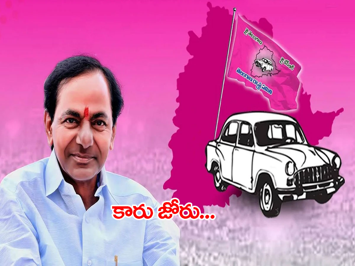 ఎమ్మెల్సీ ఎన్నికల ఫలితాలు: టీఆర్ఎస్‌ క్లీన్‌స్వీప్