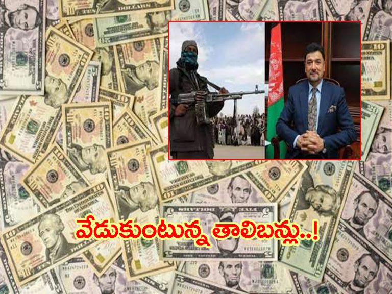 పప్పులో కాలేసిన తాలిబన్లు.. పొరపాటున 8 లక్షల డాలర్లు శత్రుదేశానికి..