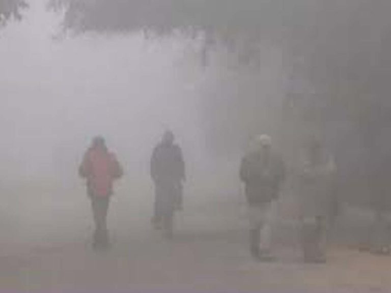 ఆదిలాబాద్‌లో పెరిగిన చలి తీవ్రత