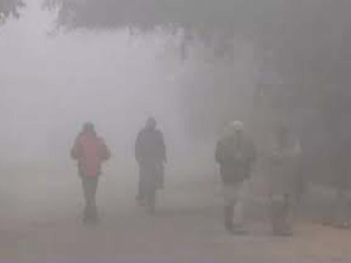 ఆదిలాబాద్‌లో పెరిగిన చలి తీవ్రత