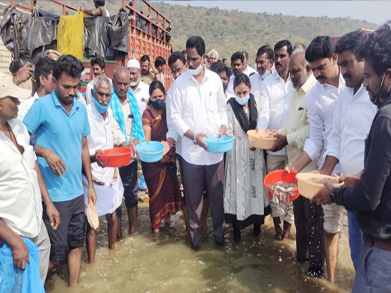 మత్స్యకారుల సరిహద్దు వివాదాన్ని పరిష్కరిస్తా: ఎమ్మెల్యే ఆర్థర్‌