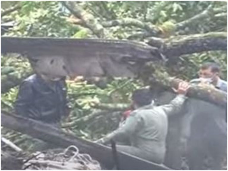 బ్లాక్ బాక్స్ కోసం అన్వేషణ