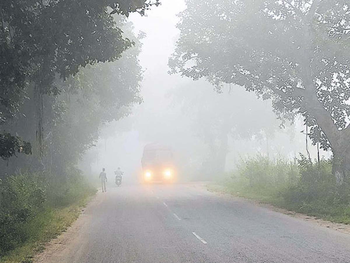 తూర్పు మన్యంలో చలి పంజా