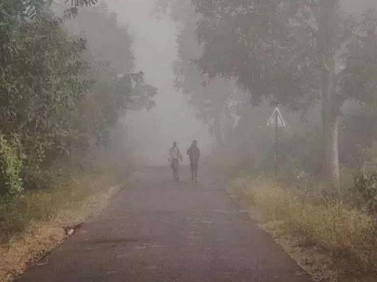 ఉమ్మడి ఆదిలాబాద్‌ను వణికిస్తున్న చలి