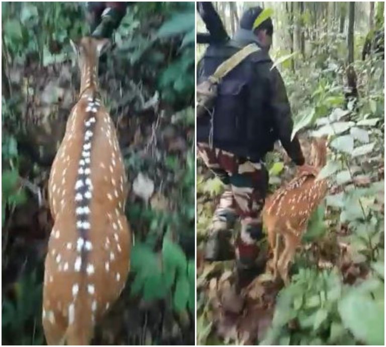 నేను సైతం..జవాన్లతో కలిసి జింక కూంబింగ్