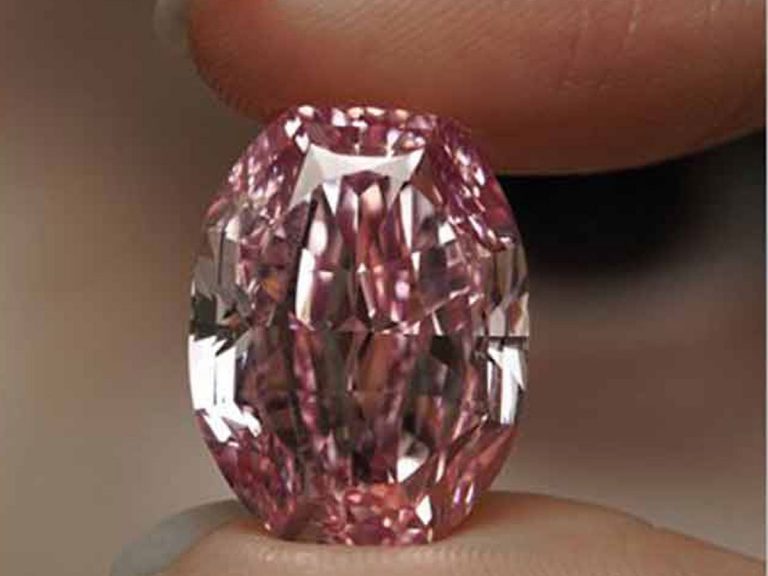 కూలీని వరించిన అదృష్టం.. రాత్రికి రాత్రే లక్షాధికారి..