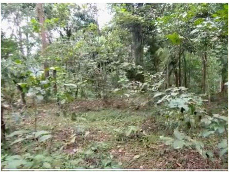 ఛత్తీస్ ఘడ్ సరిహద్దులో ఎన్ కౌంటర్.. ఆరుగురు మావోయిస్టులు హతం