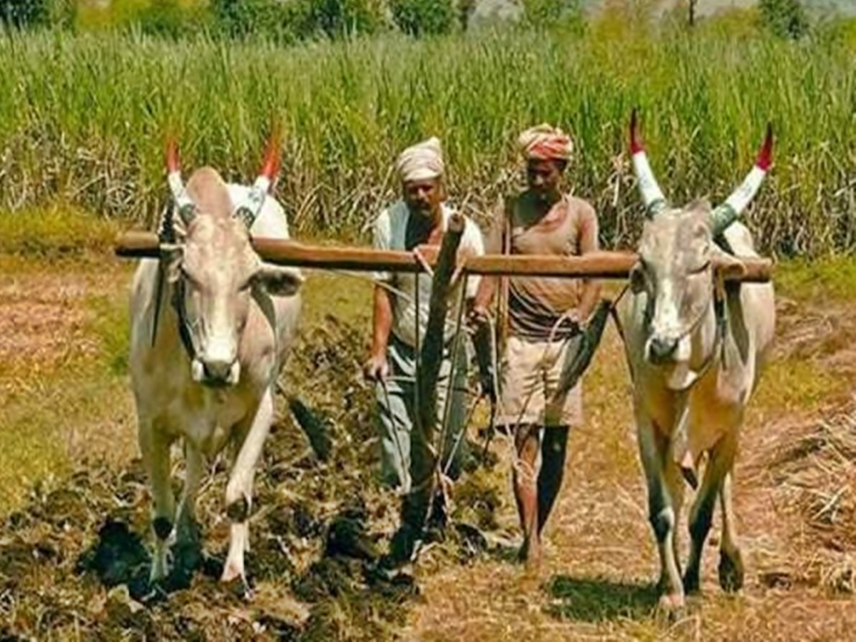 రైతులకు కేంద్రం న్యూఇయర్ గిఫ్ట్.. జనవరి 1న డబ్బులు జమ