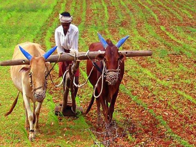 PM Kisan: రైతులకు గమనిక.. ఈనెల 31 వరకే గడువు