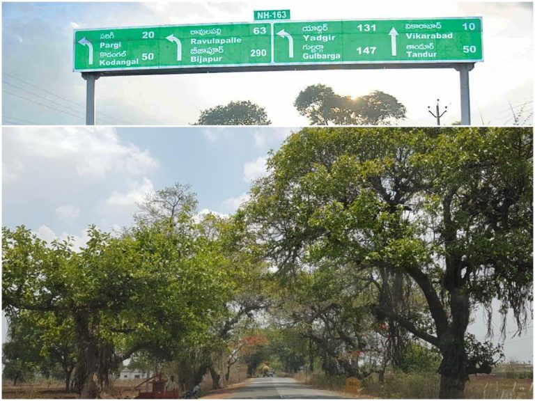 హైవే 163 విస్తరణ.. 900 మర్రి చెట్లకు కష్టకాలం