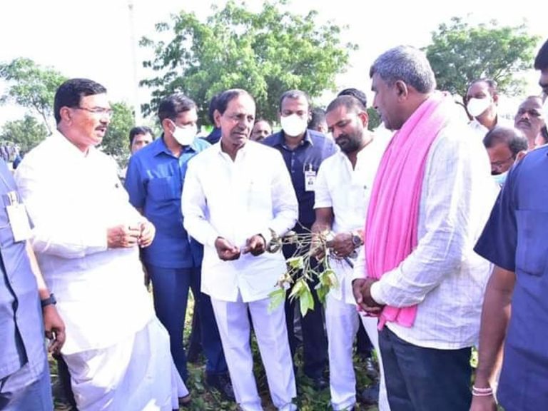 పంట మార్పిడి విధానాన్ని అవలంభించాలి : కేసీఆర్‌