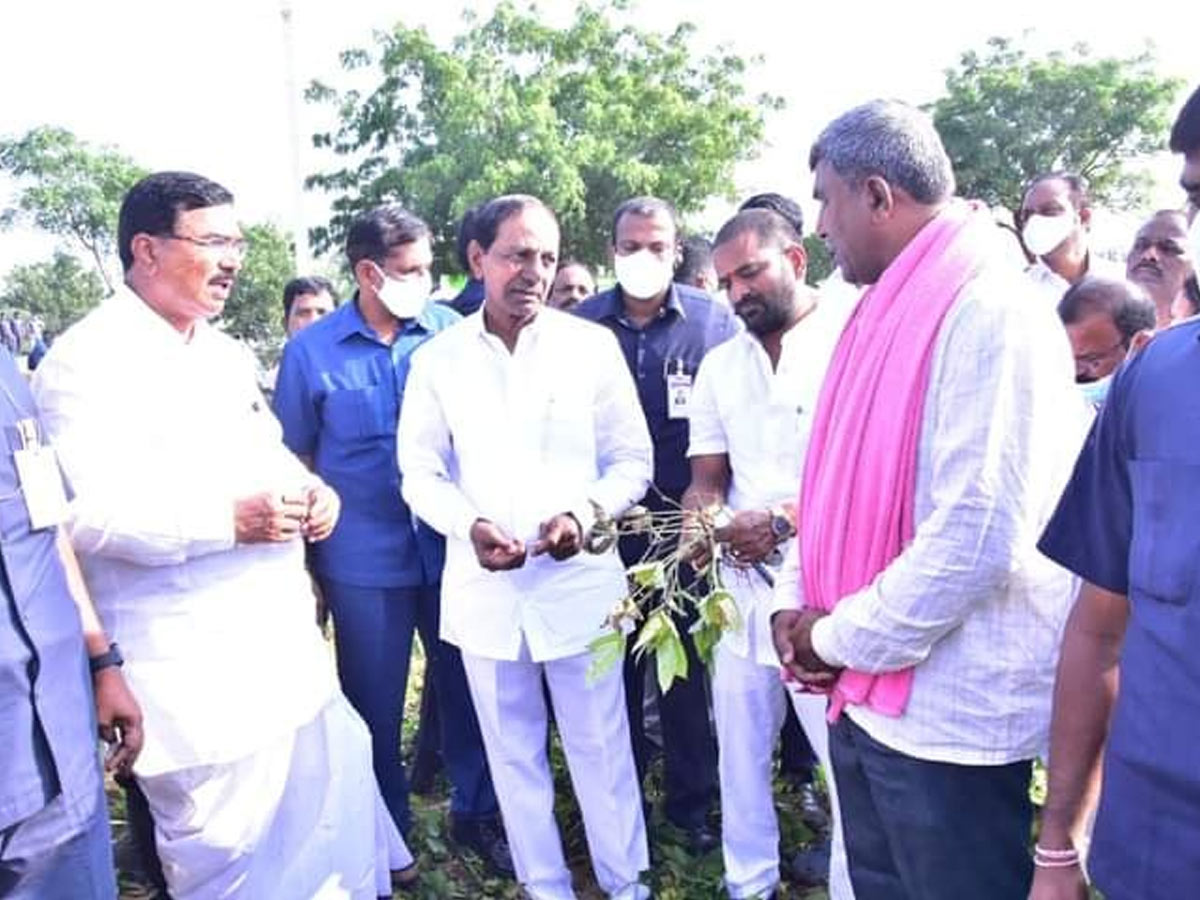 పంట మార్పిడి విధానాన్ని అవలంభించాలి : కేసీఆర్‌