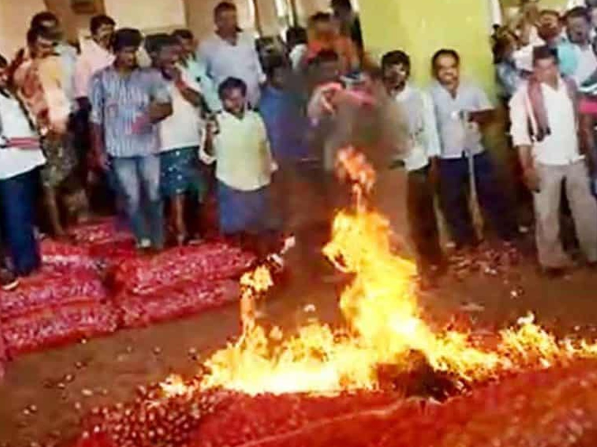 గిట్టుబాటు ధర రాలేదని.. ఉల్లిగడ్డలకు నిప్పు పెట్టిన అన్నదాత