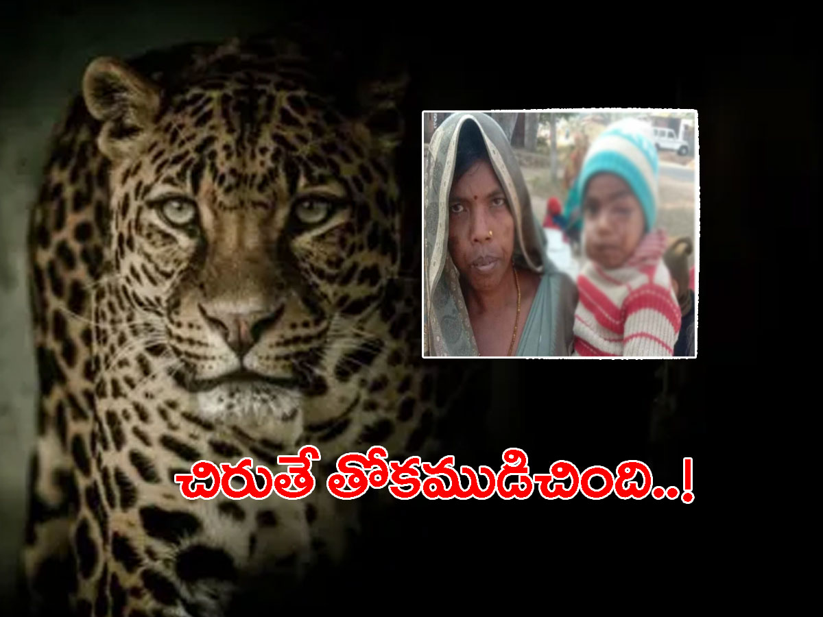 బిడ్డ కోసం చిరుతతో పోరాటం.. తల్లి ప్రేమ ముందు తోకముడిచిన క్రూరమృగం..