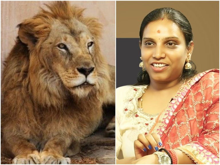 సింహాన్ని దత్తత తీసుకున్న పీజేఆర్‌ కూతుళ్ళు