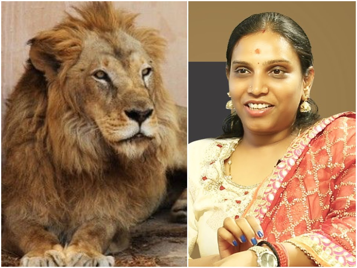 సింహాన్ని దత్తత తీసుకున్న పీజేఆర్‌ కూతుళ్ళు