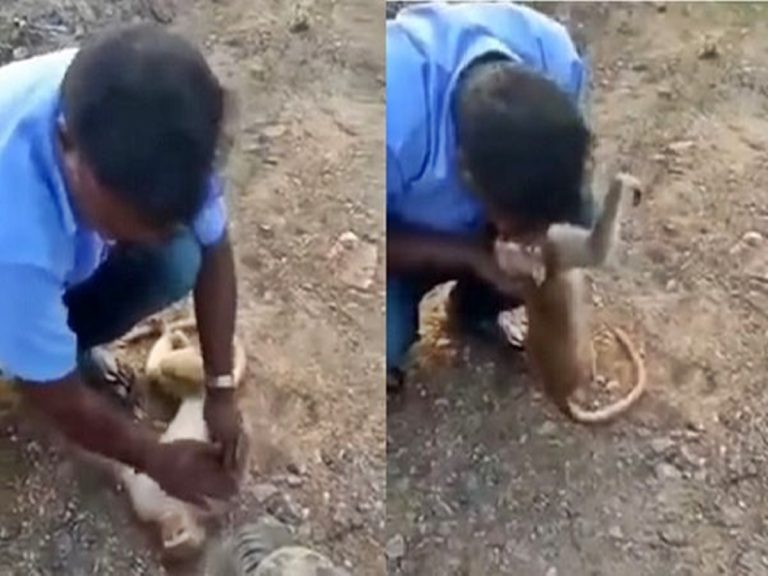 హ్యాట్సాఫ్.. మానవత్వం బతికే ఉందని నిరూపించాడు