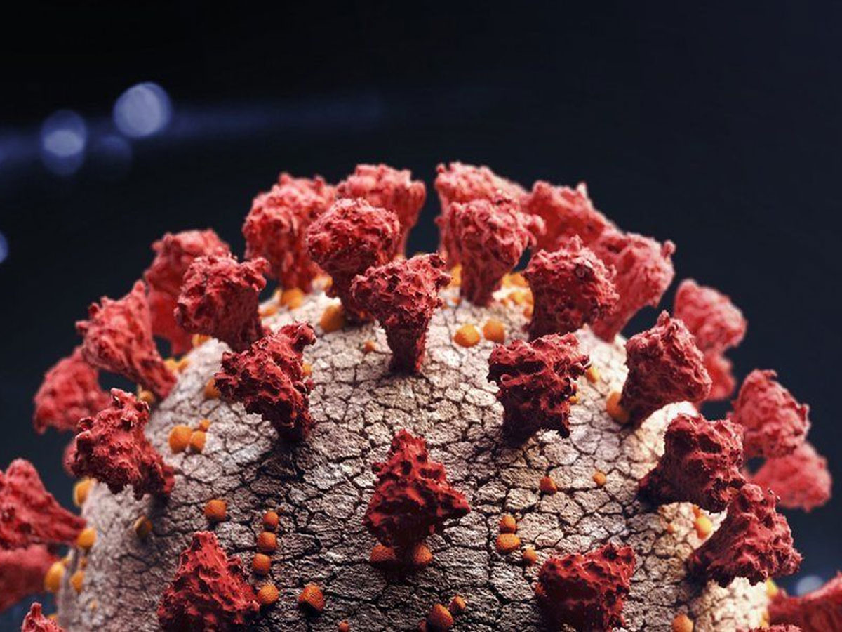 భారత్ లో 5 కు చేరిన ఒమి క్రాన్ కేసులు