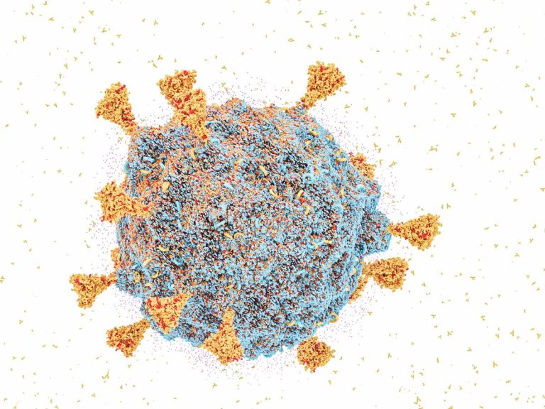 ఒమిక్రాన్‌ కేసులున్న పదిరాష్ట్రాలకు కేంద్ర బృందాలు