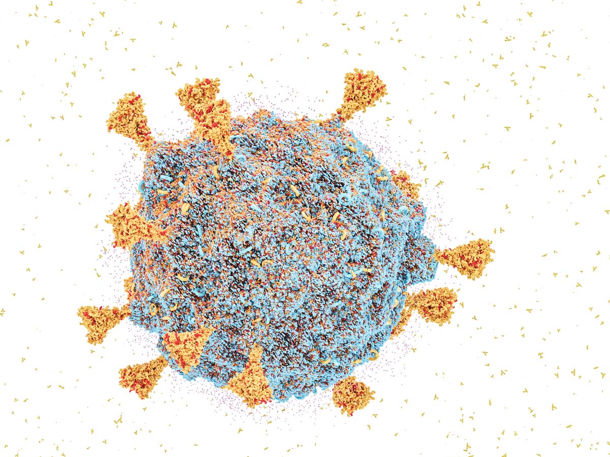 ఒమిక్రాన్‌ కేసులున్న పదిరాష్ట్రాలకు కేంద్ర బృందాలు