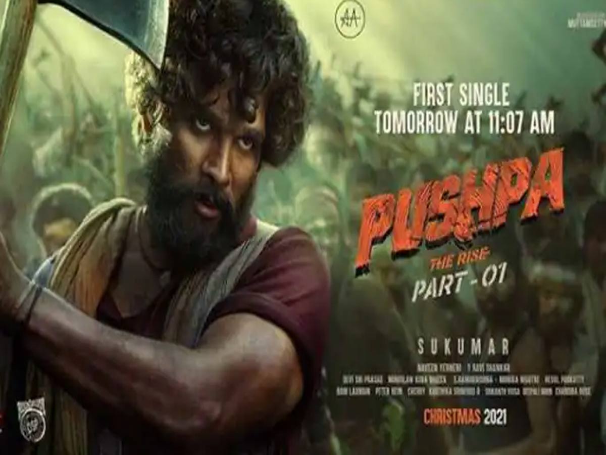 ‘పుష్ప’ చిత్రానికి పాన్ ఇండియా కష్టాలు!