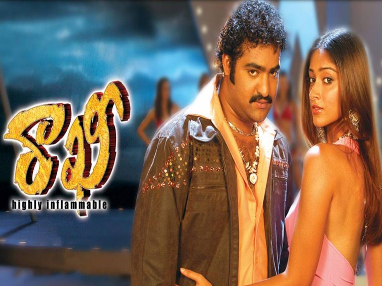 యంగ్ టైగర్ నటవిశ్వరూపం ‘రాఖీ’కి 15 ఏళ్ళు!