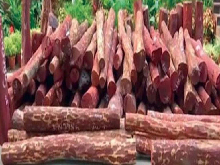 ‘పుష్పరాజ్‌’లుగా మారిన కస్టమ్స్‌ అధికారులు.. స్మగ్లింగ్‌ ఎలా చేశారంటే..?