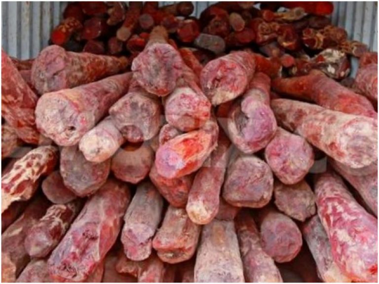 చెన్నైలో భారీ ఎర్రచందనం డంప్ సీజ్