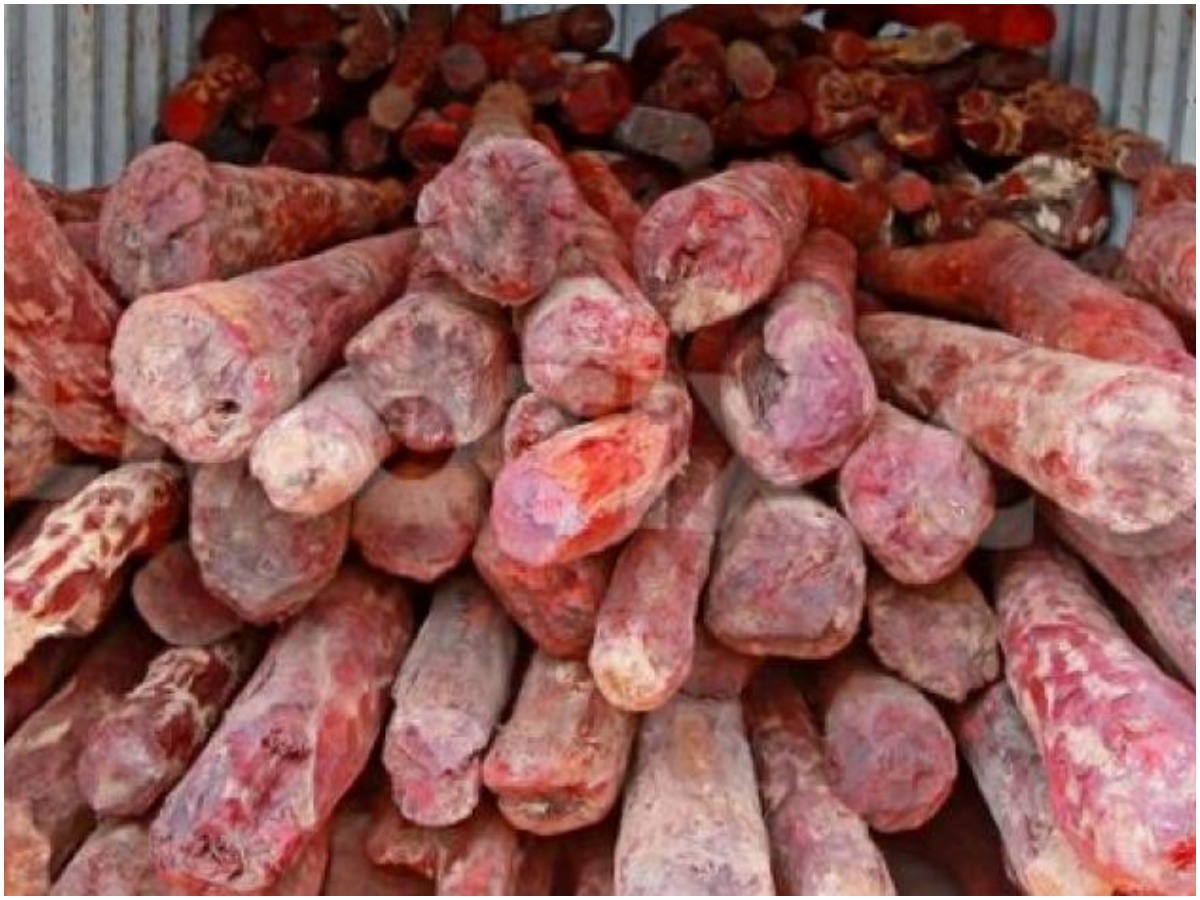 చెన్నైలో భారీ ఎర్రచందనం డంప్ సీజ్