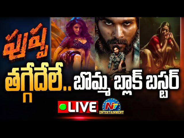 ‘పుష్ప’ పబ్లిక్ టాక్… ఎలా ఉందంటే ?