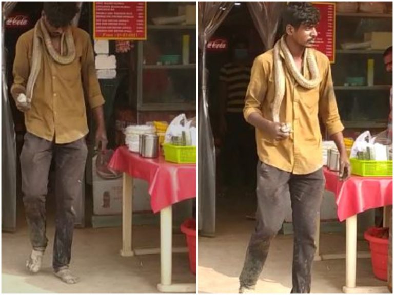 మెడలో ఆరడుగుల పాము.. తాగుబోతు ఏంచేశాడంటే?