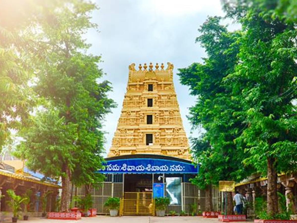 నేటి నుండి శ్రీశైలంలో మకర సంక్రాంతి బ్రహ్మోత్సవాలు